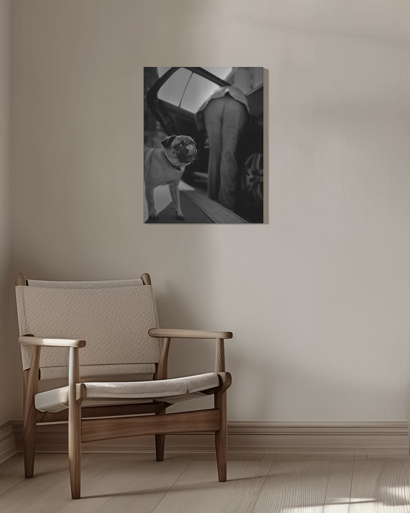 Untitled | Canvas