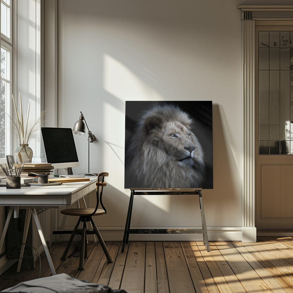 Proud Lion | Canvas