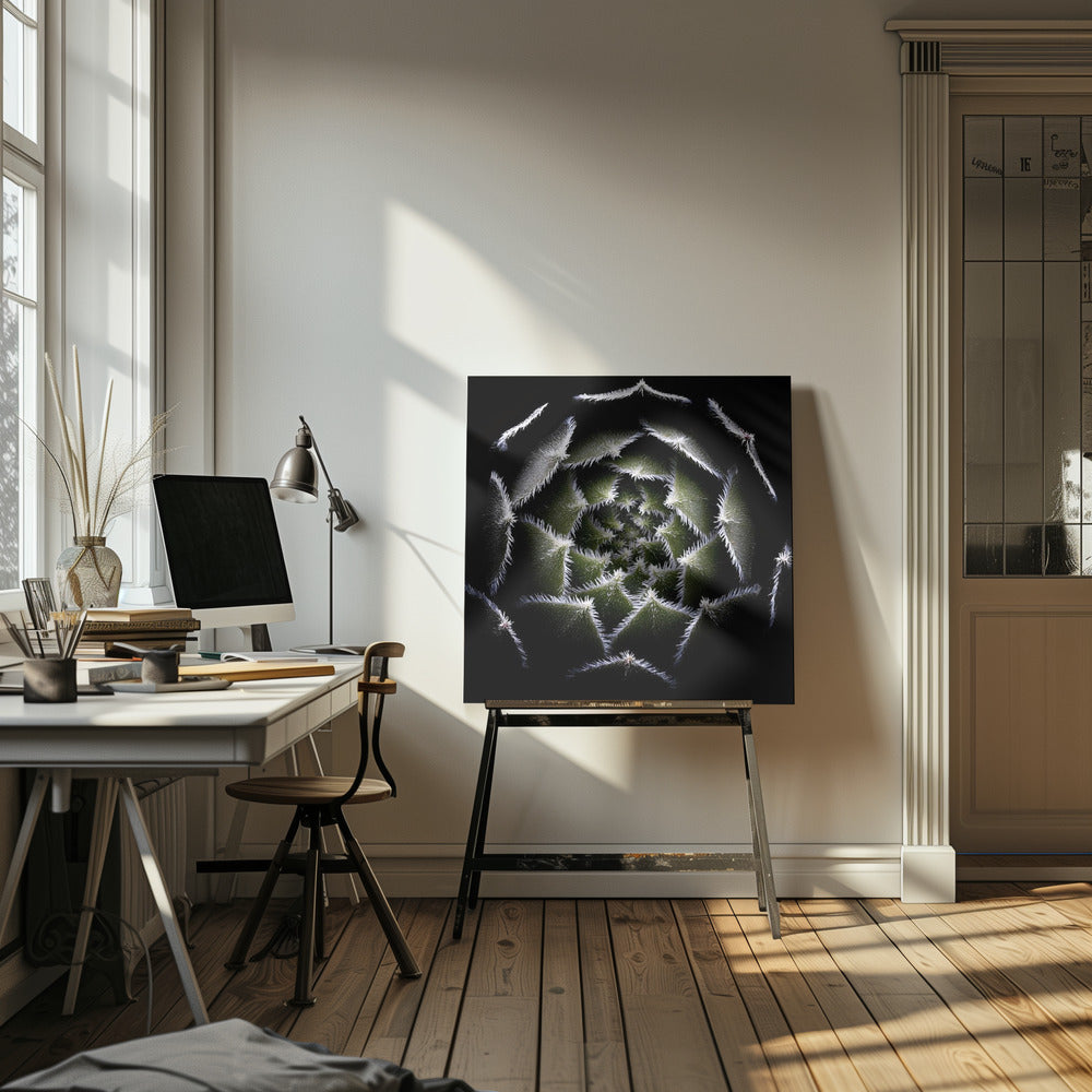 Sempervivum Rosette | Canvas