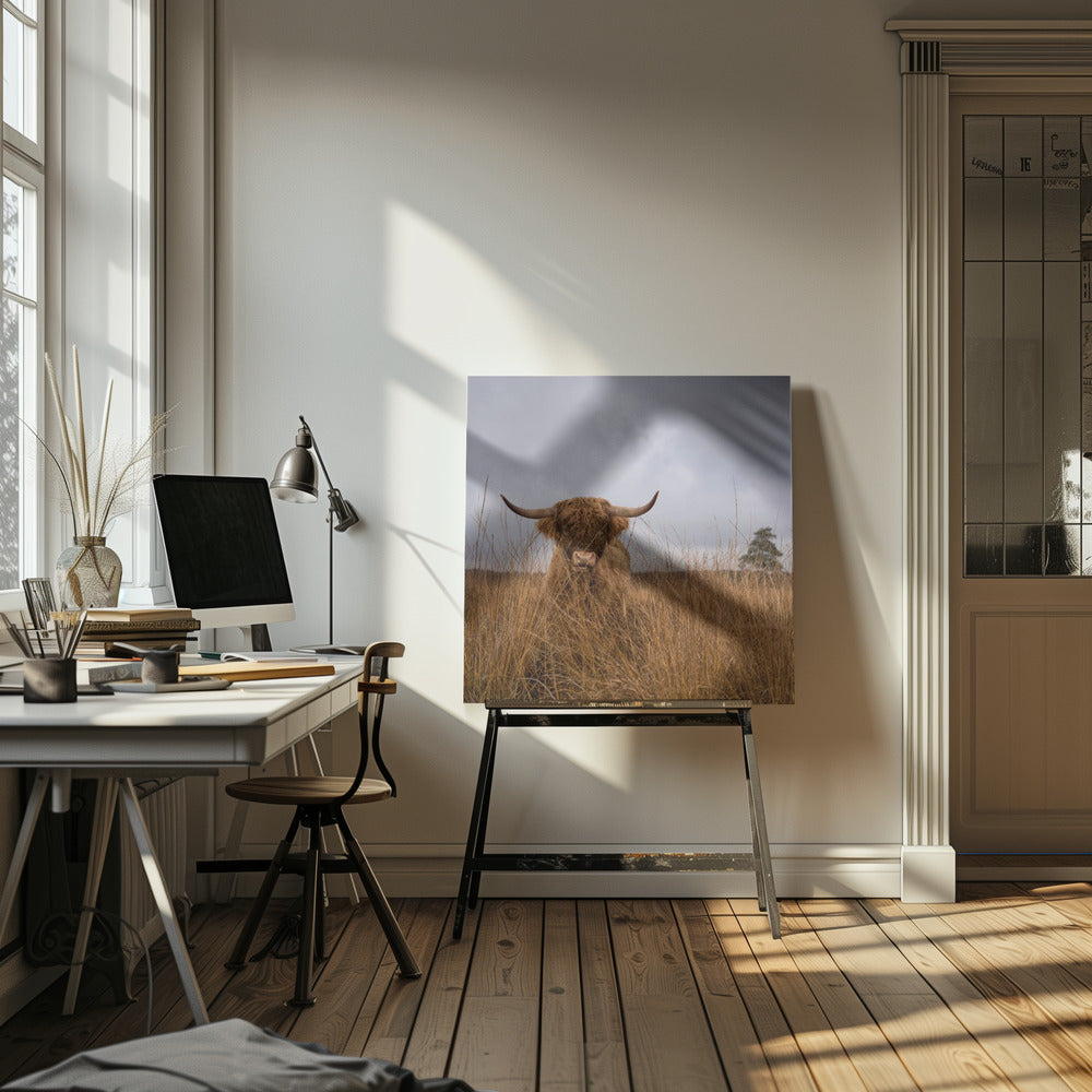 It wasn't me | Canvas