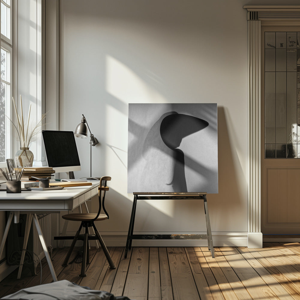 Kiinalainen paperiteatteri | Canvastaulut