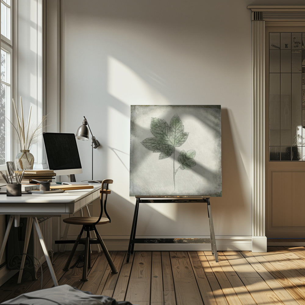 Before the Decay | Canvas