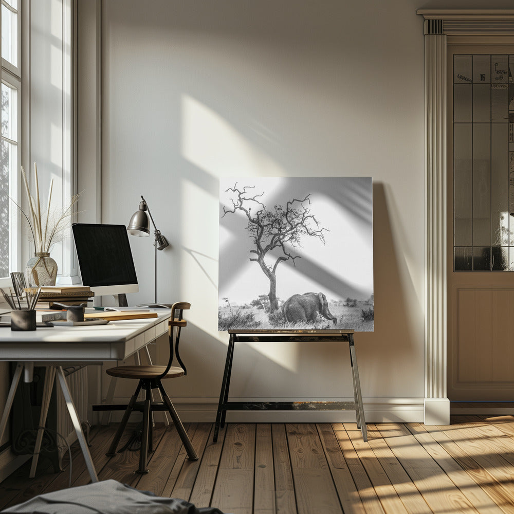 Drzewo i słoń | Wydruki na łótnie