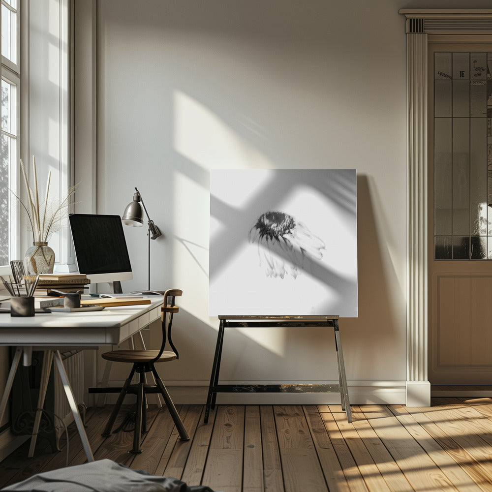 Moody flower | Canvas