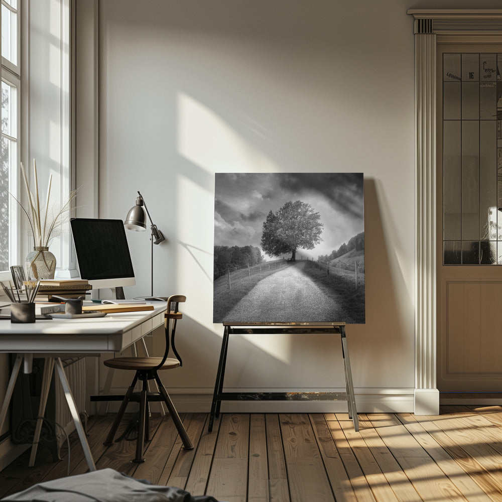Beneath Black Skies | Canvas