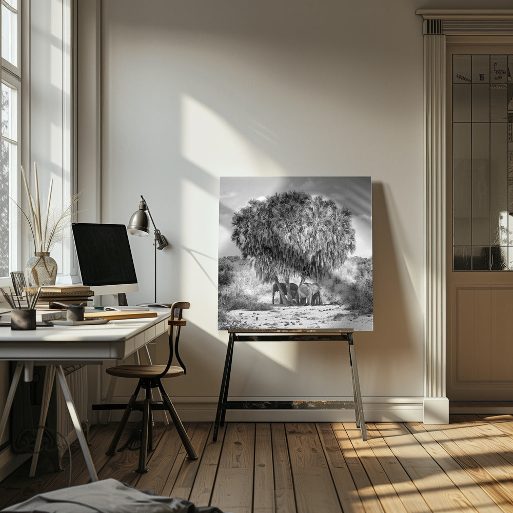 Keskipäivän kokous | Canvastaulut