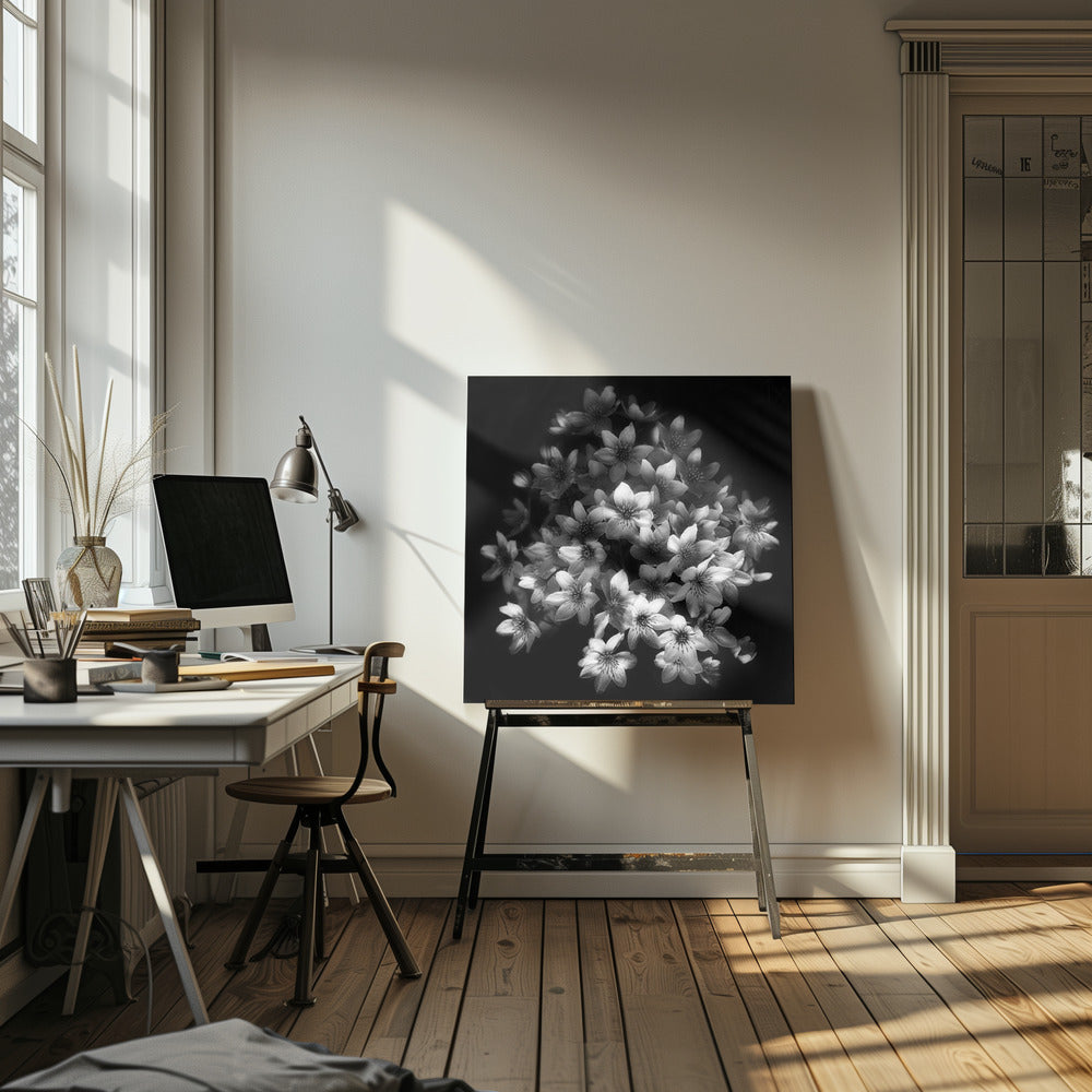 Early Sensation | Canvas