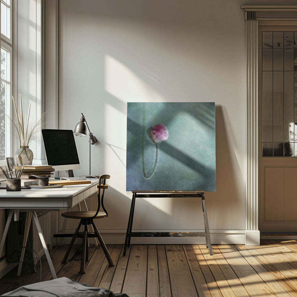 Luottamus | Canvastaulut