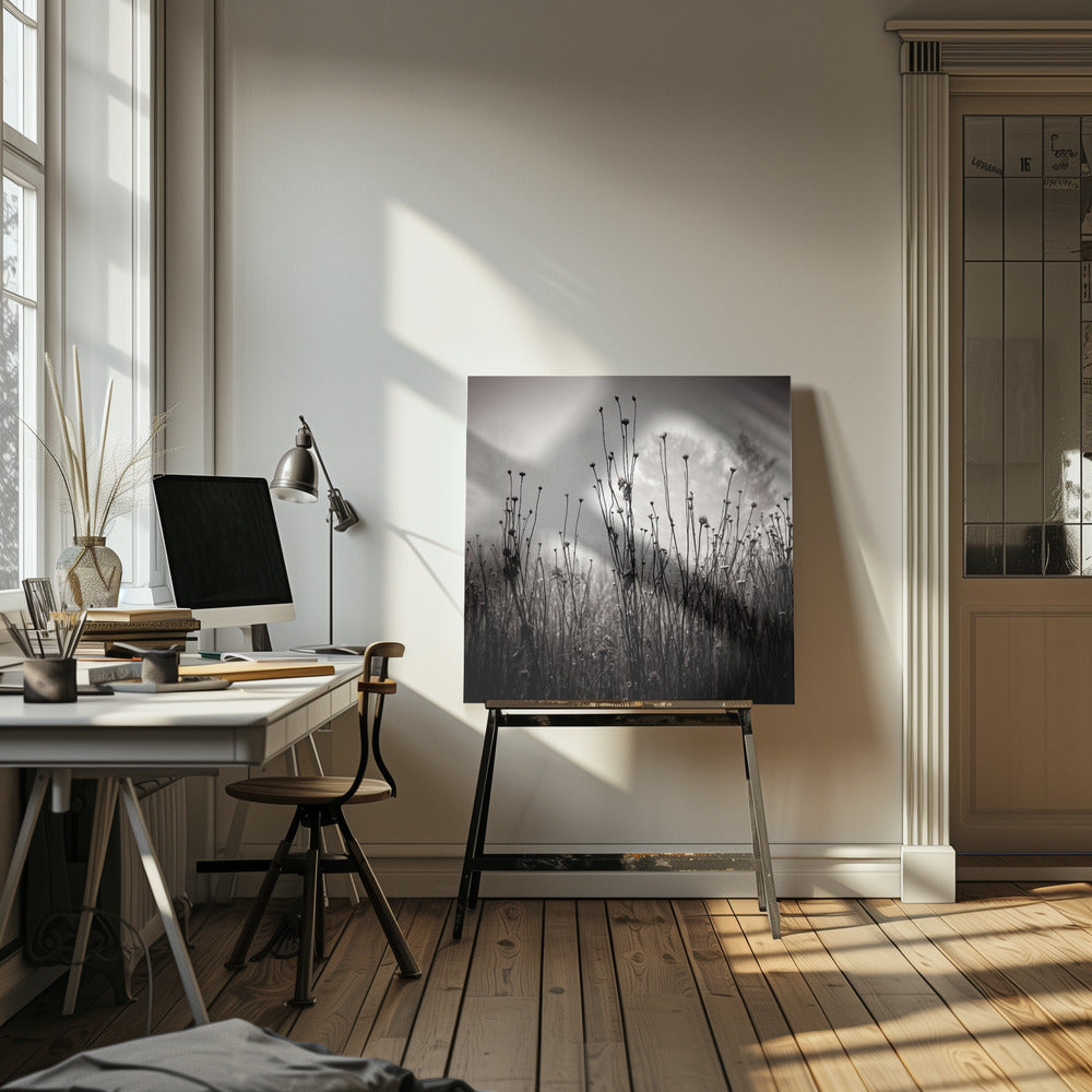 Rośliny łąkowe 1 | Wydruki na łótnie