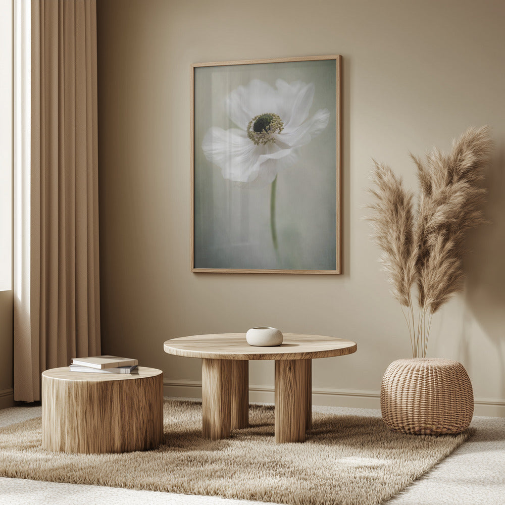 Single White | Poster