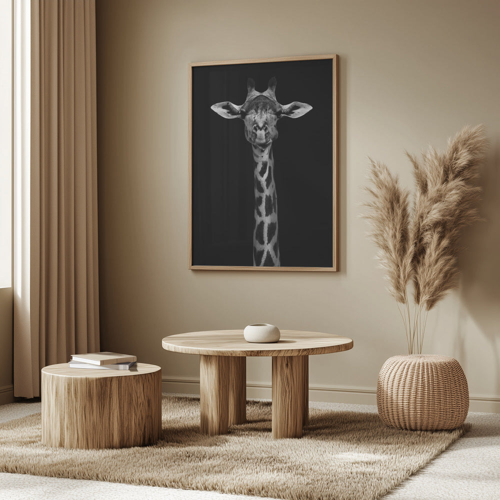 Giraffe Portrait | Poster