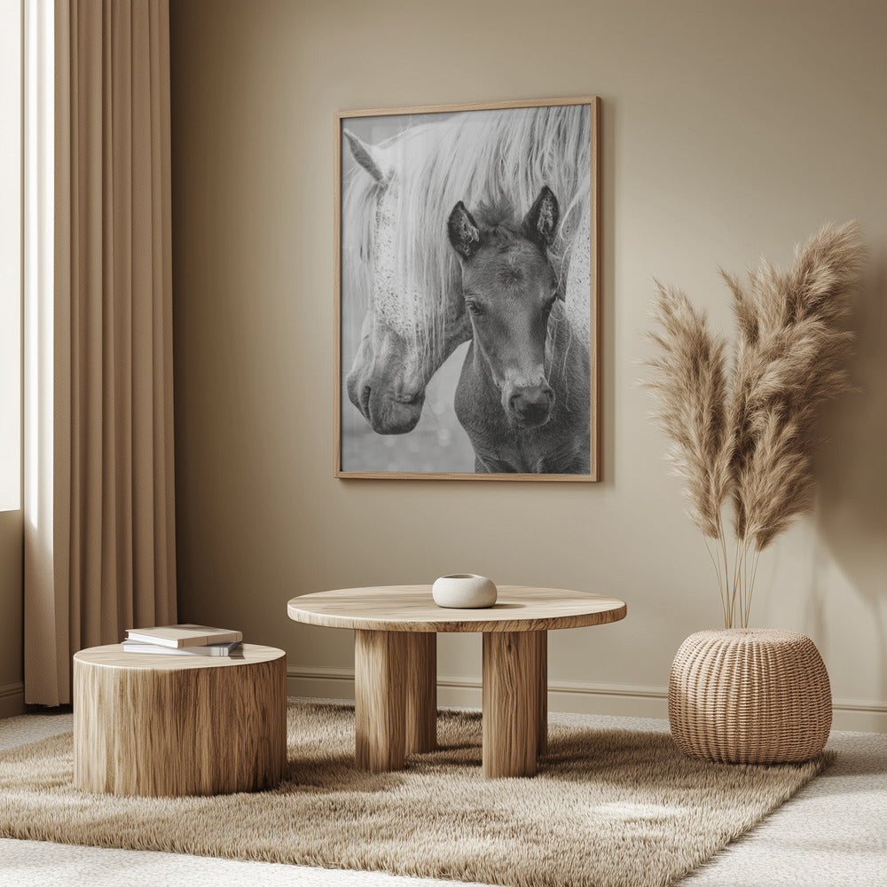The Foal | Poster