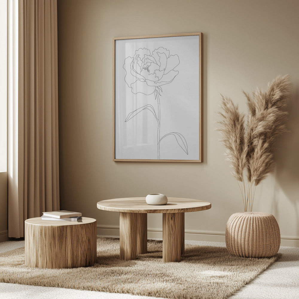 Peony Lines | Poster