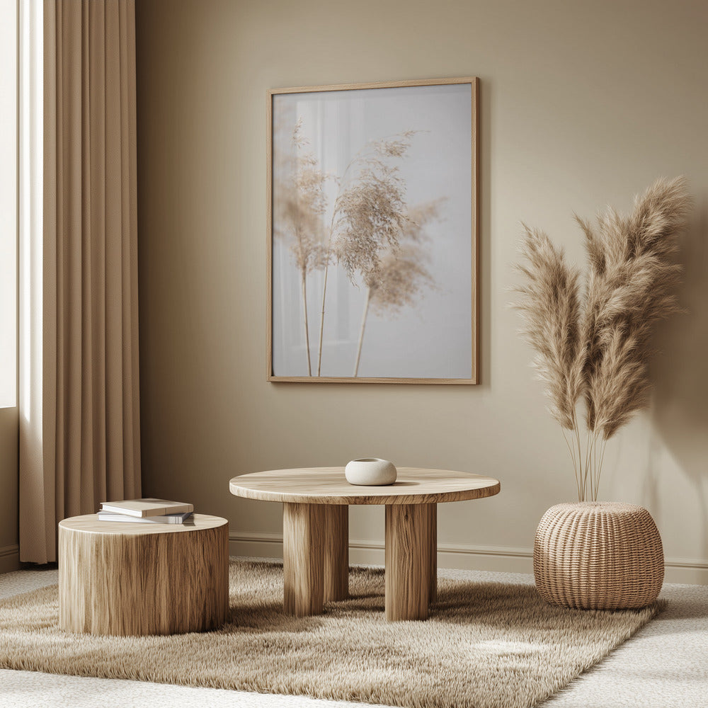 Reed Grass Grey 09 | Poster