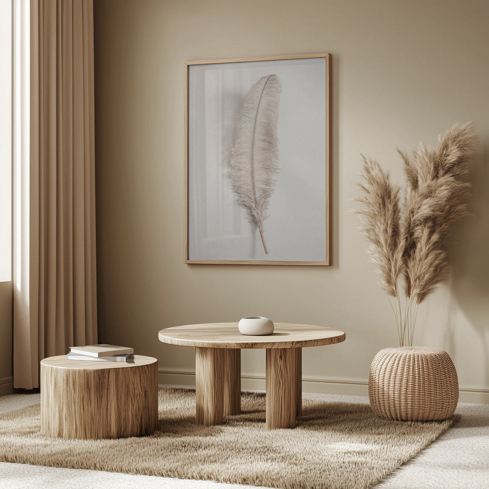 Feather_002 | Poster