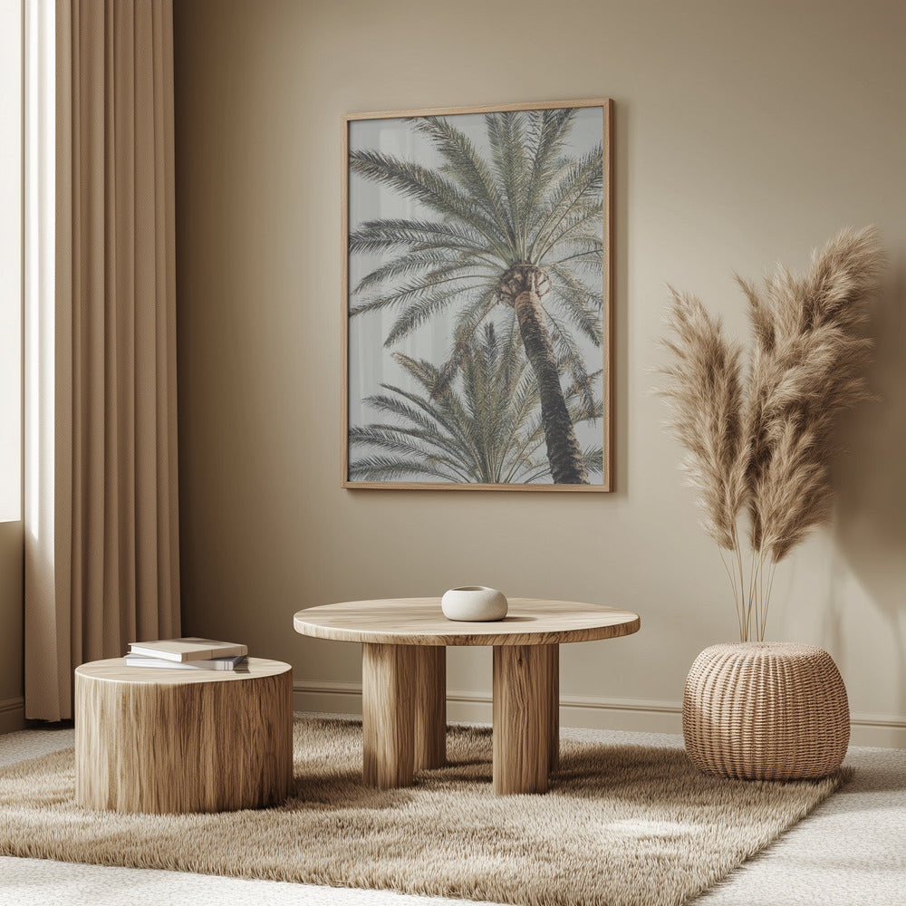 Palm_005 | Poster
