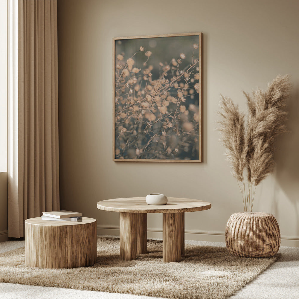 Beach flowers_003 | Poster