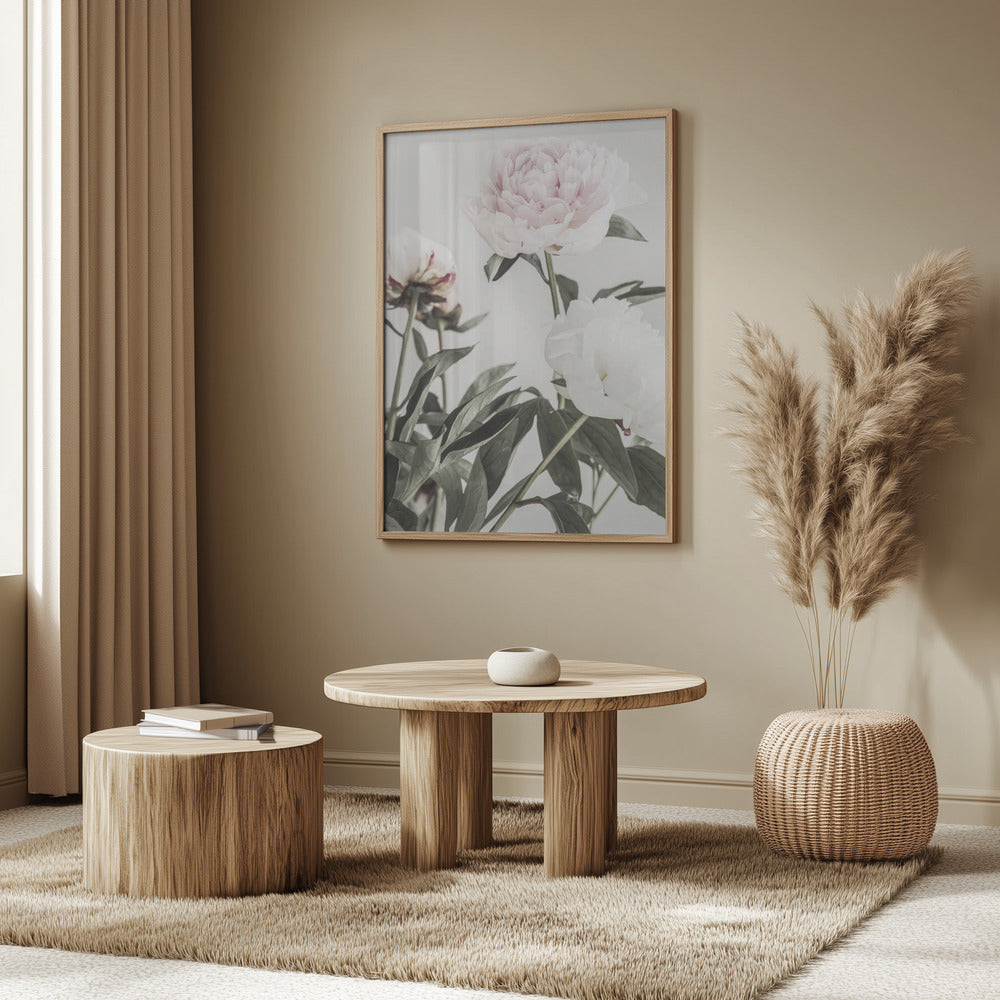 Peony 04 | Poster