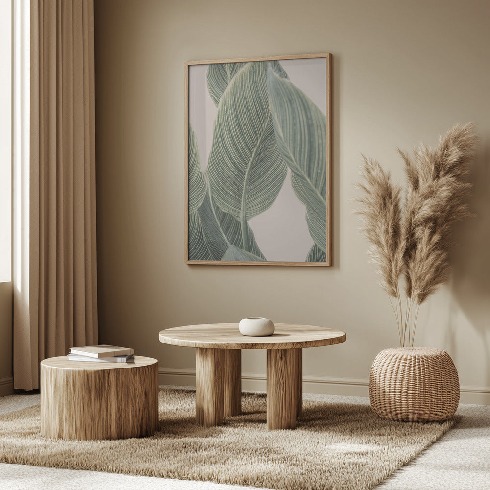Calla-Blatt | Poster - Kunstdruck