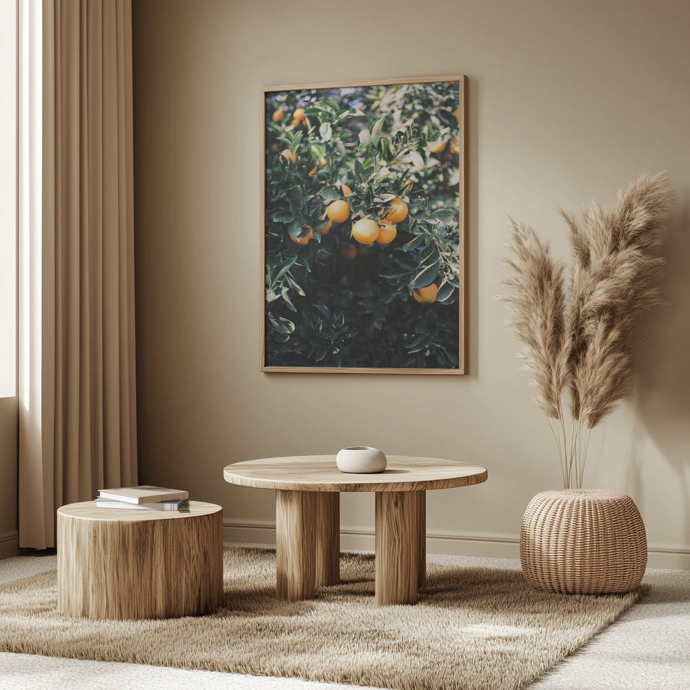 Oranges de Marrakech | Posters - Affiche Artistique