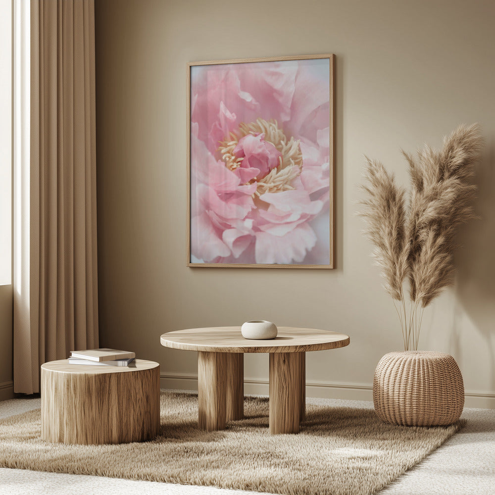 Blush peony I | Poster