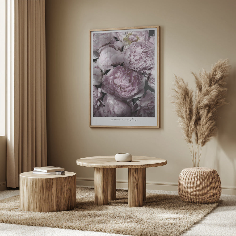 Life blooms everyday peonies | Poster