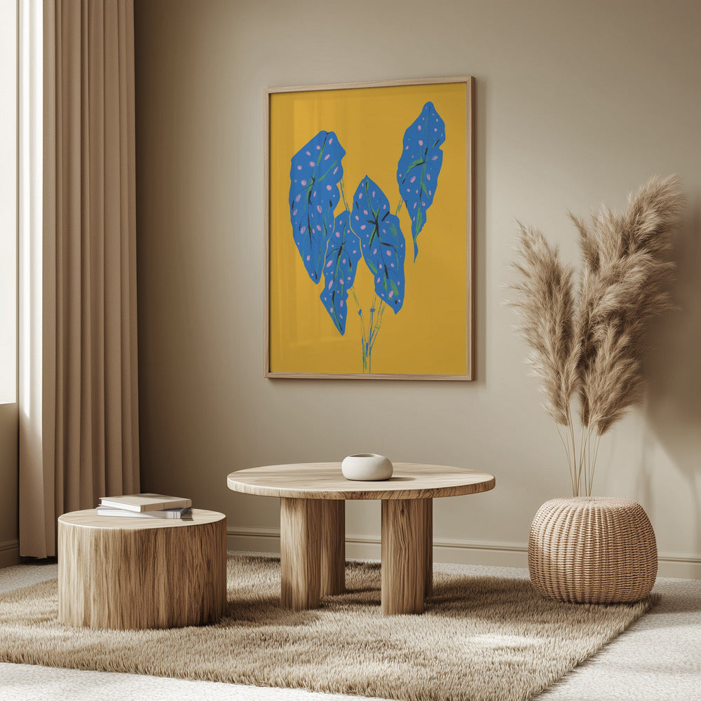 Begonia Maculata Blue and Yellow | Poster