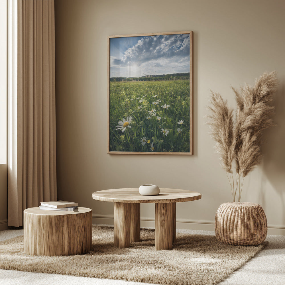 Kukinta Niitty | Julisteet - Taidevedokset