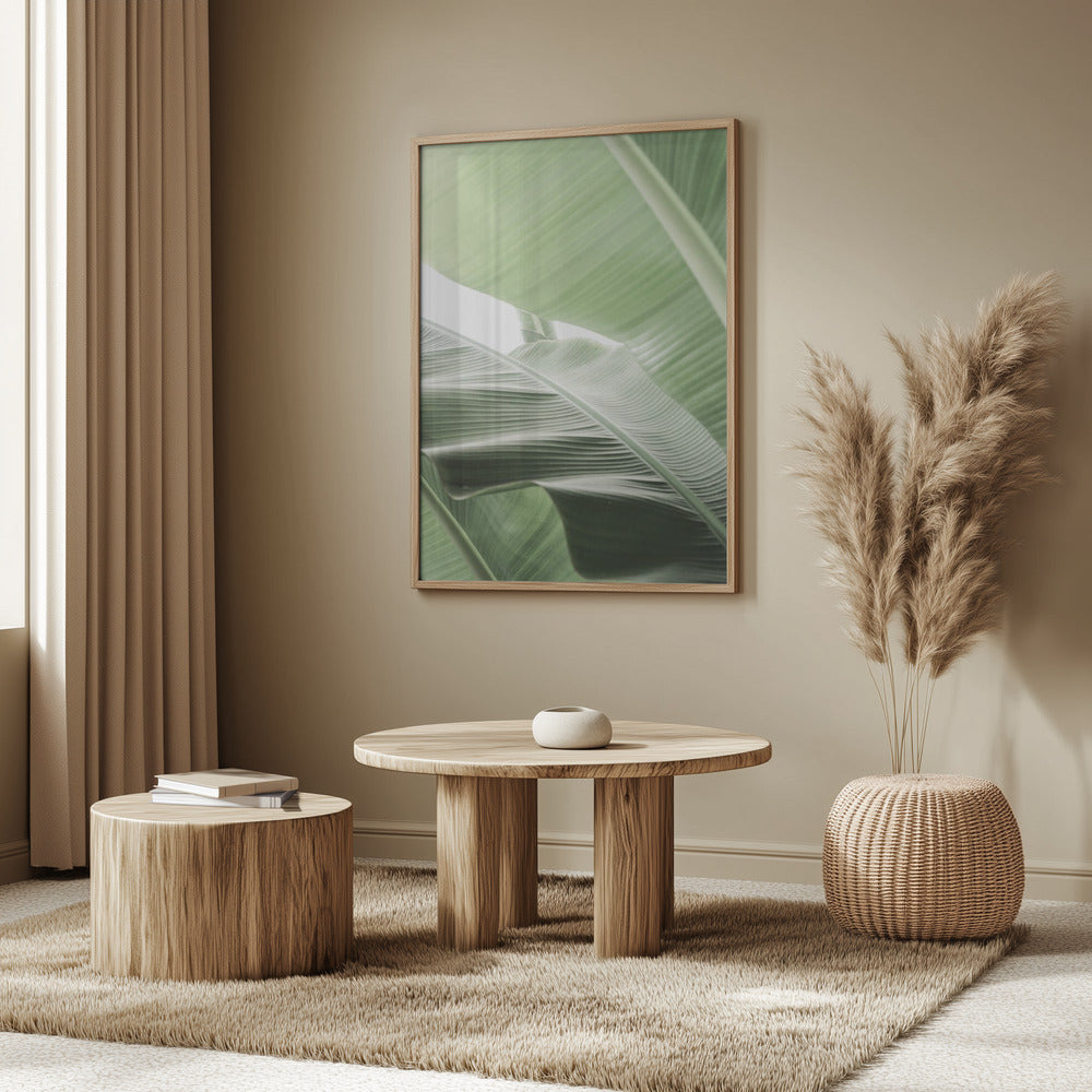 Leafy Serenity | Poster