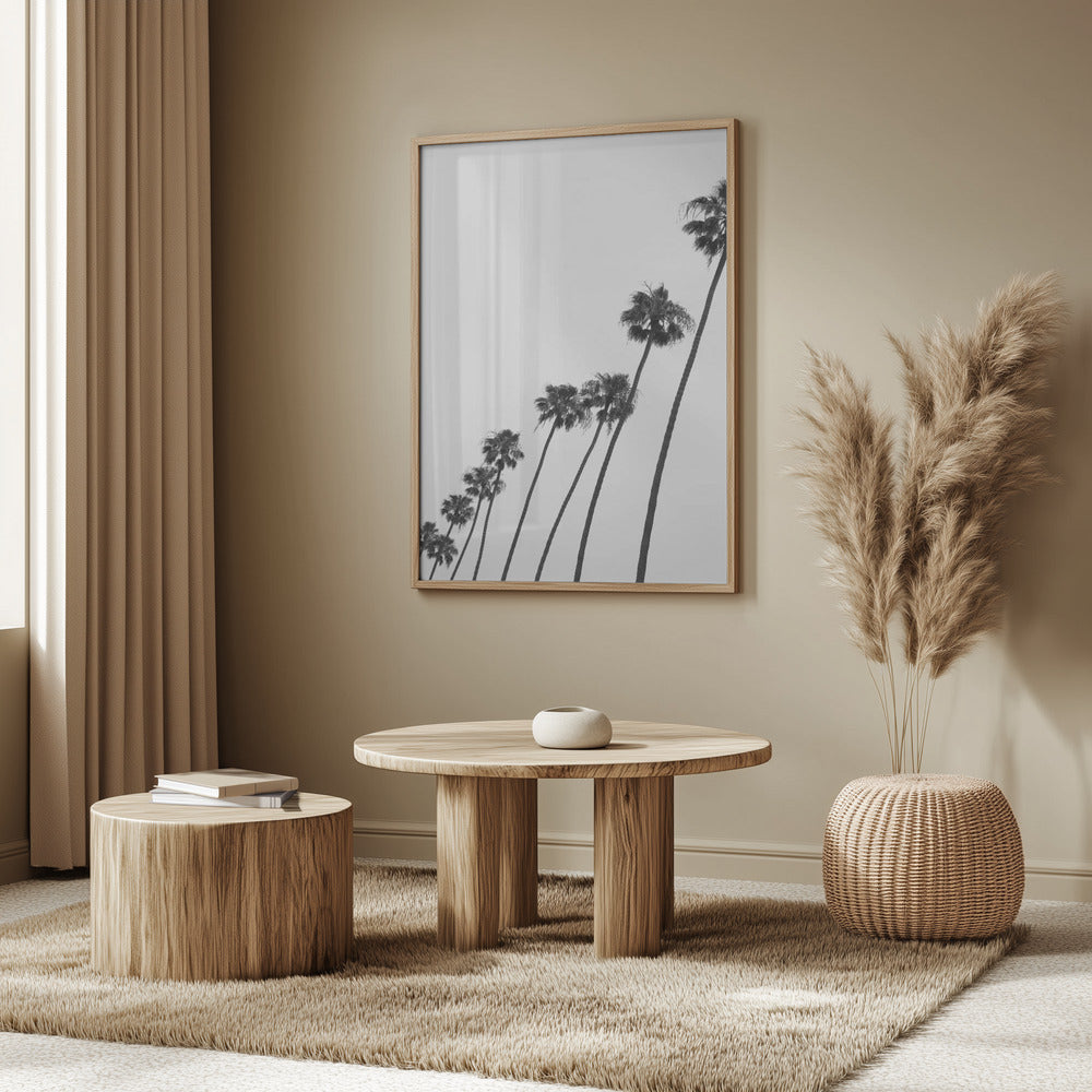 Tall Palm Parade | Poster