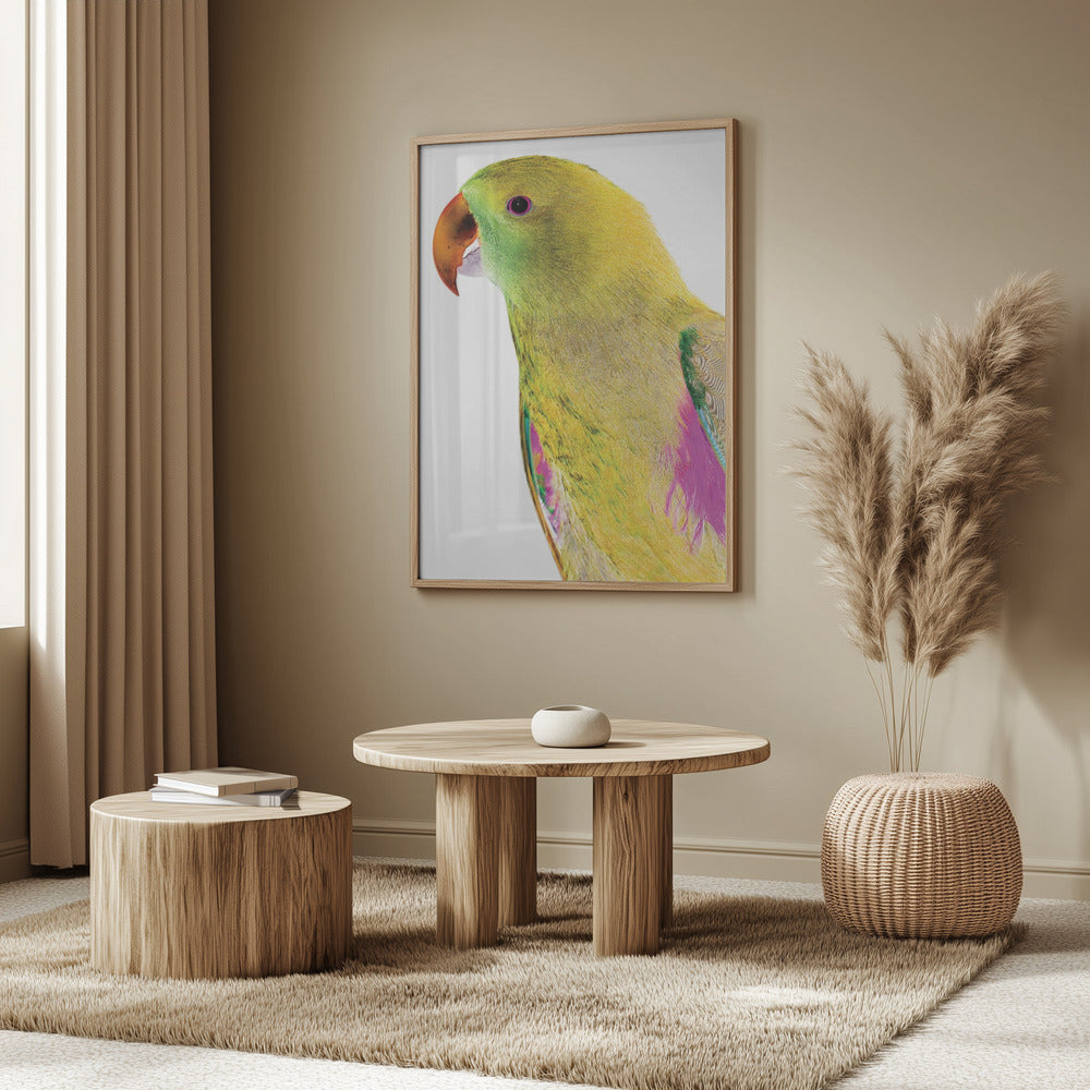 Lebendiges Papageienprofil | Poster