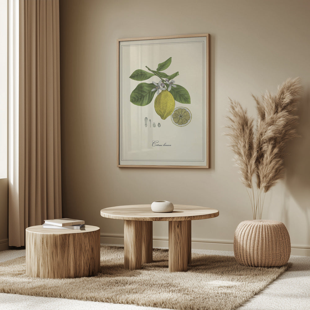 Zitrone | Poster