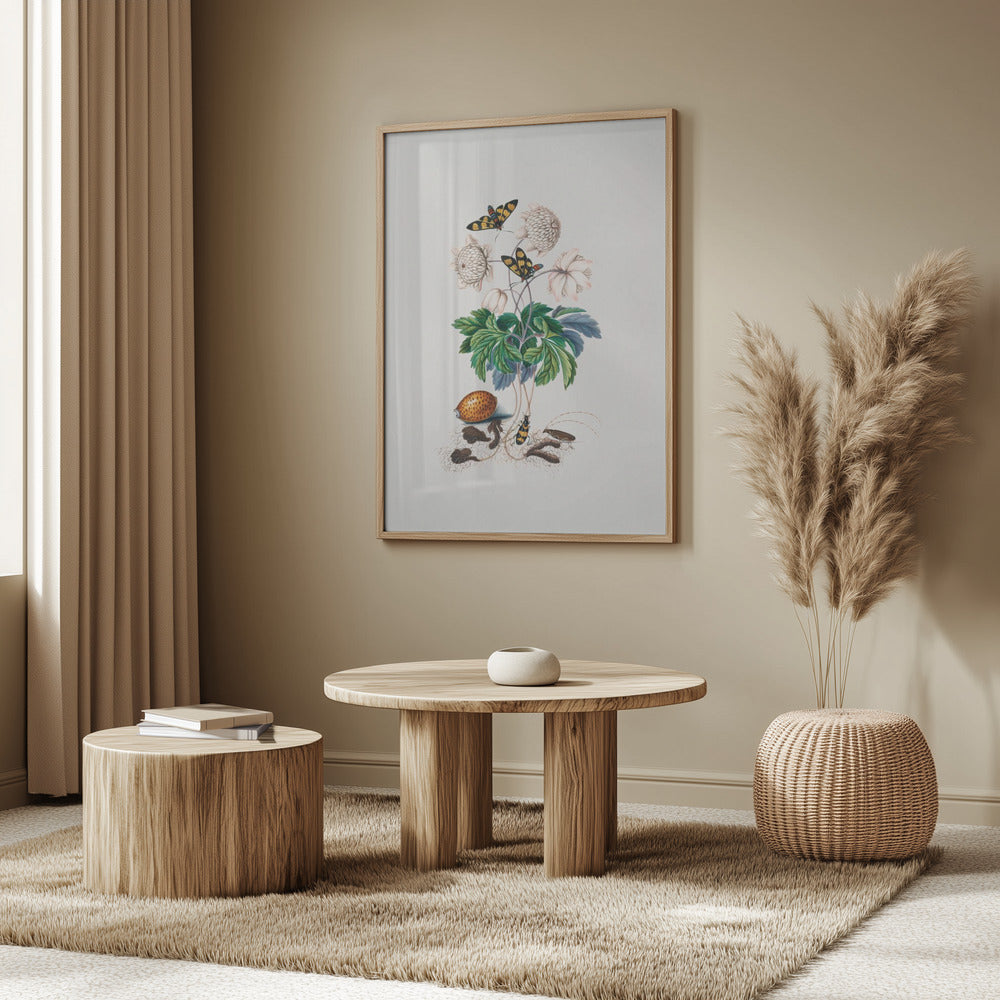 Double flower cultivar | Poster
