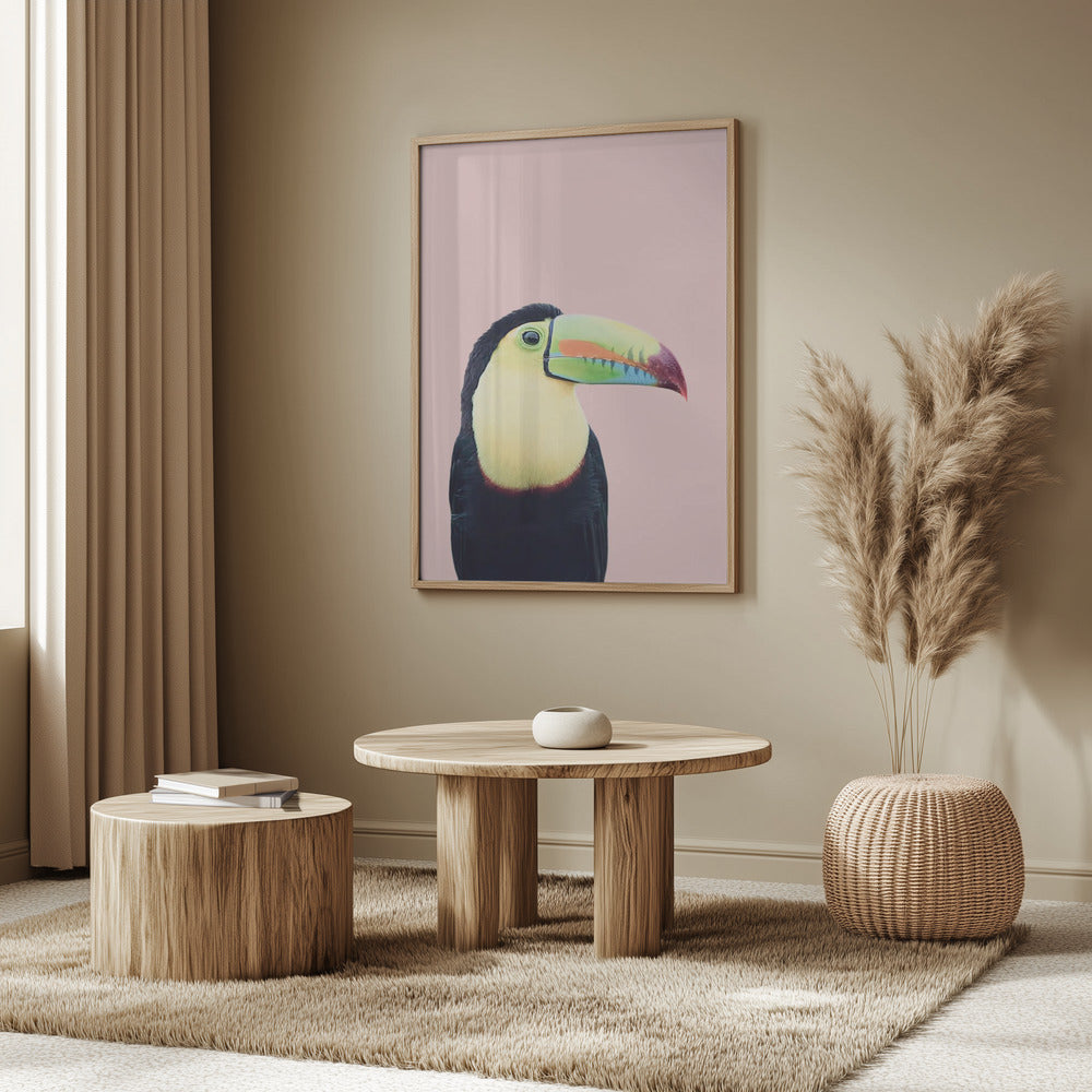Toucan on Pink | Poster