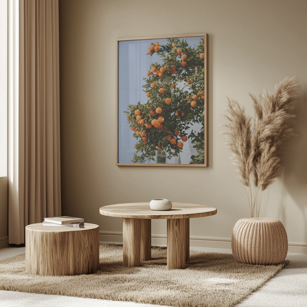 Orangen in Sevilla | Poster