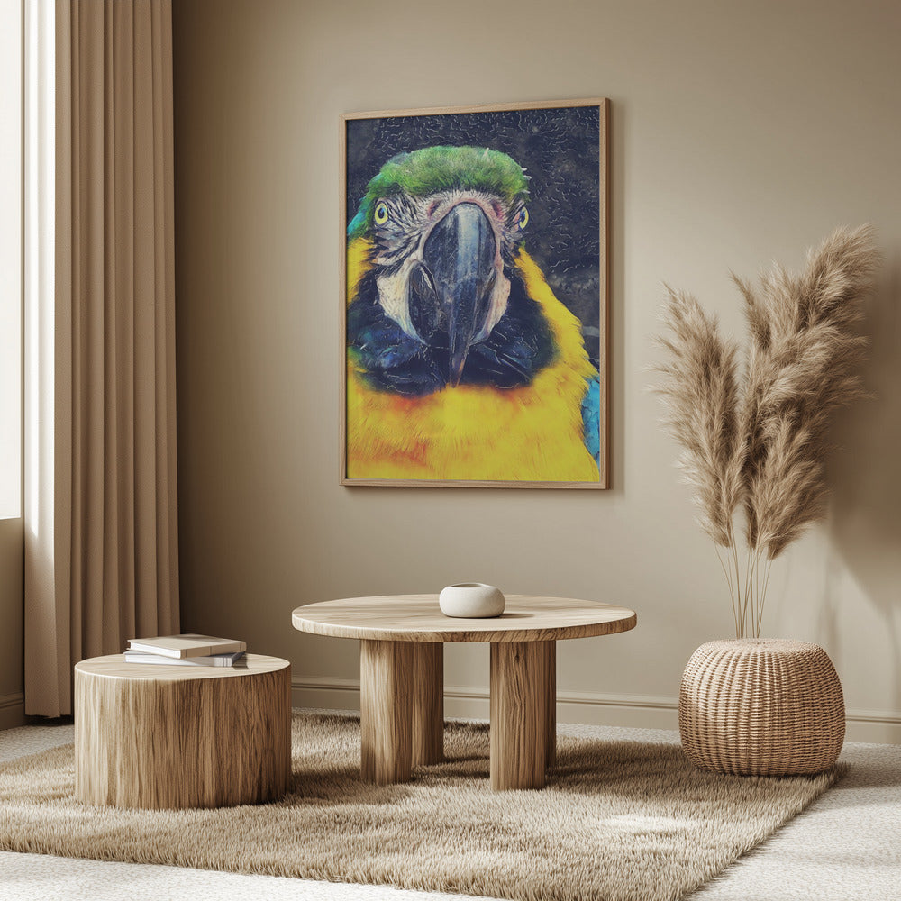 Tiere Papagei Aquarell Tierkunst | Poster