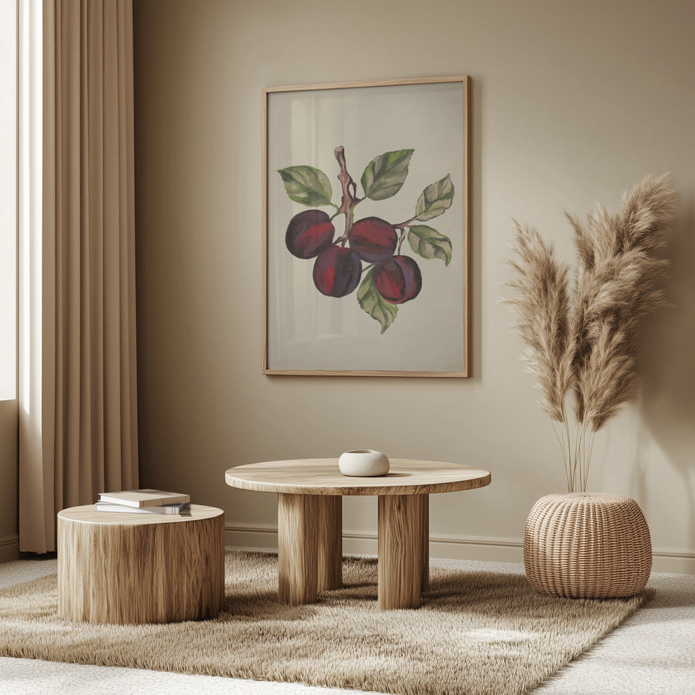 Vintage-Obstkollektion | Poster - Kunstdruck