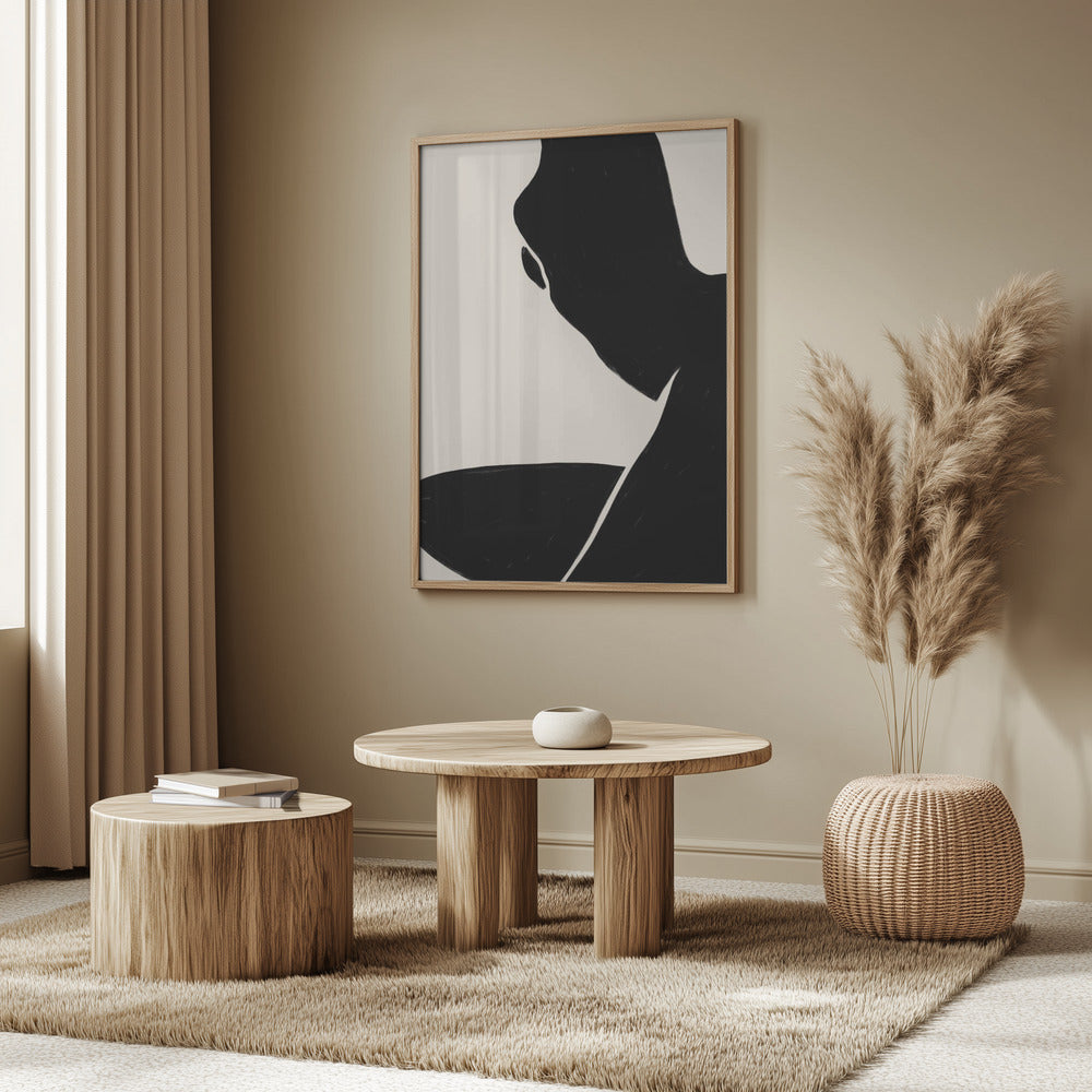 Shadowed Contours | Poster