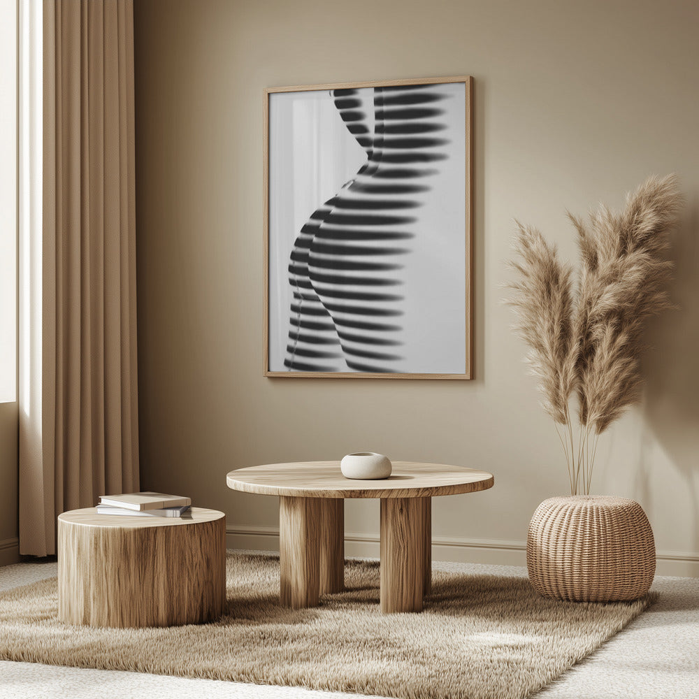 Zebra | Poster