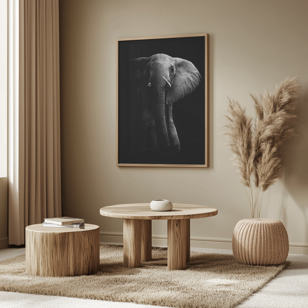 Elephant! | Poster
