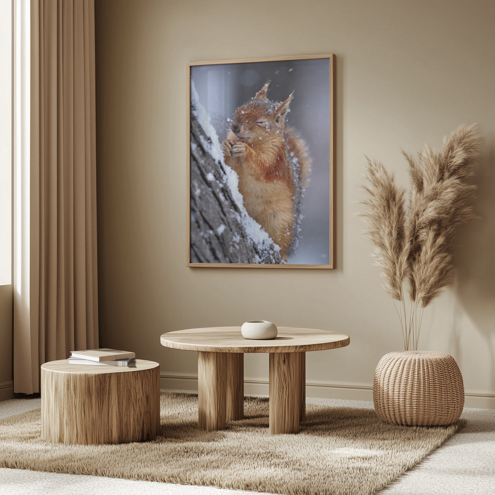 winter | Poster