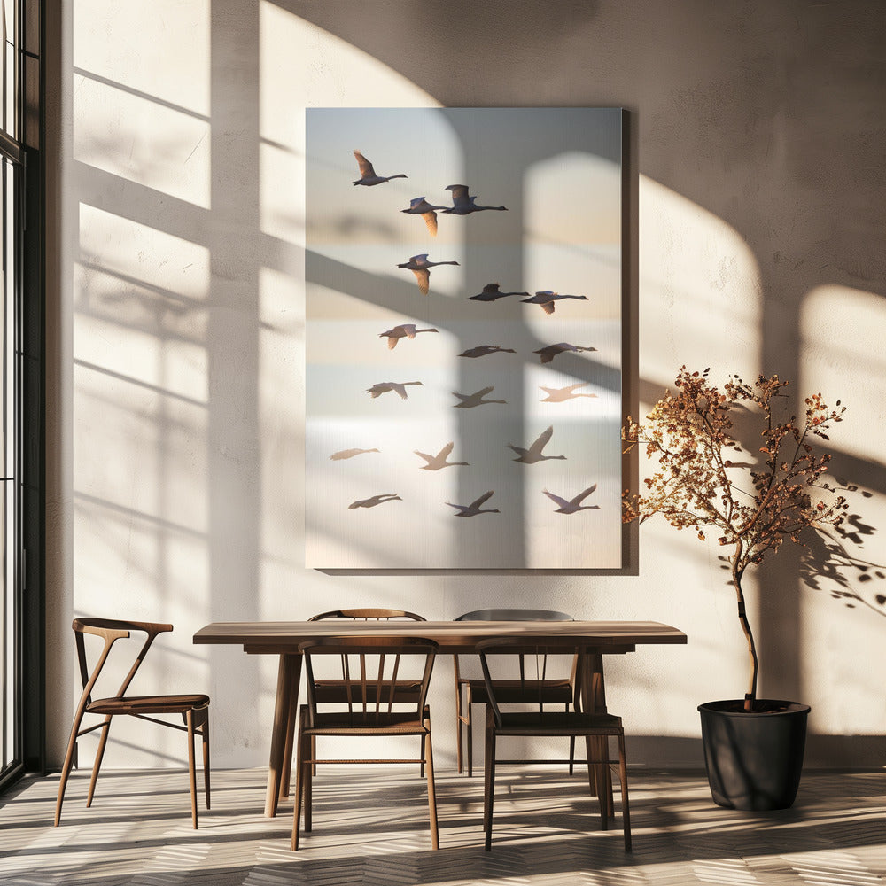 Vorbei an der Sonne. | Leinwand-Bilder