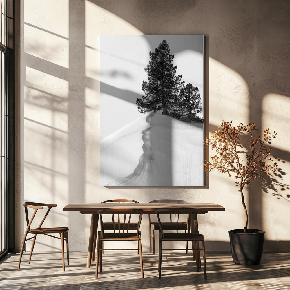 O śniegu i formach | Wydruki na łótnie