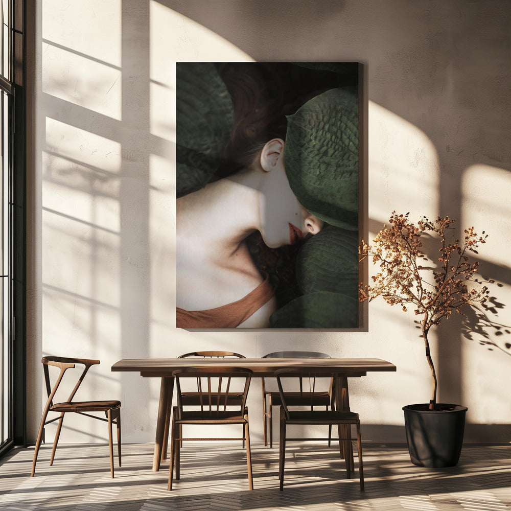 Sei | Leinwand-Bilder