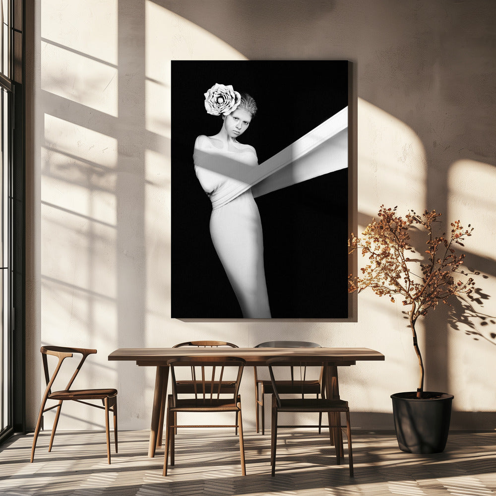 Elegantti arvoitus | Canvastaulut