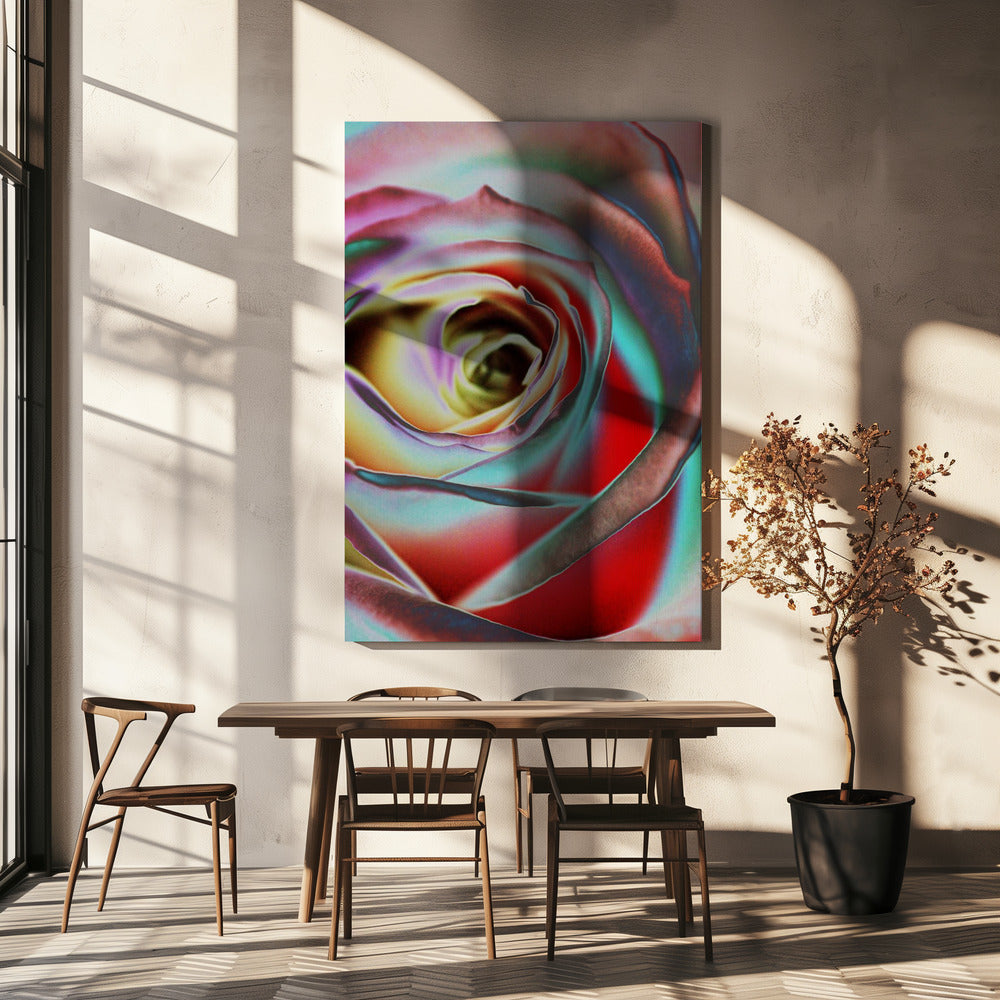 Rose | Canvas