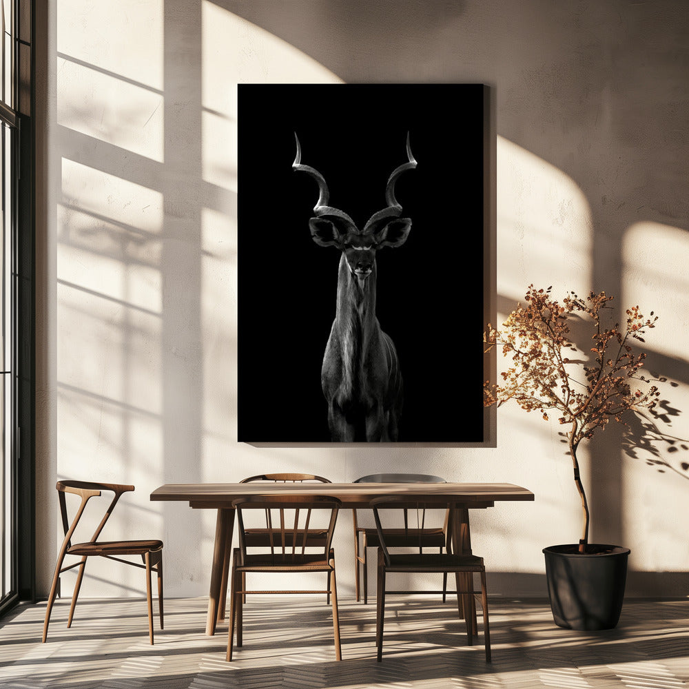 Kudu większy | Wydruki na łótnie