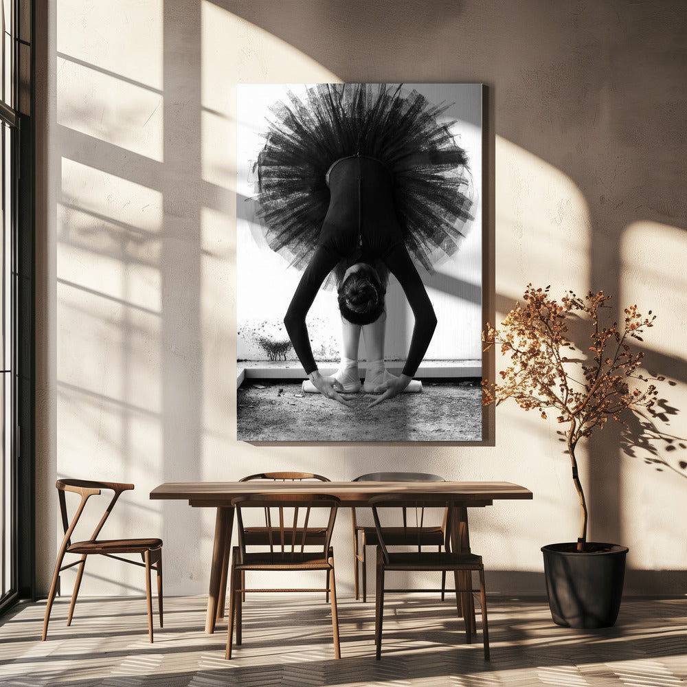 Ballerine | Tableaux sur Toile