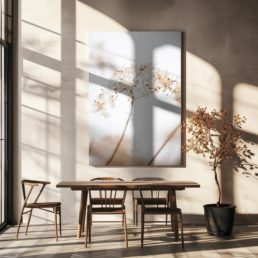 Soft dried flower_brown | Canvas