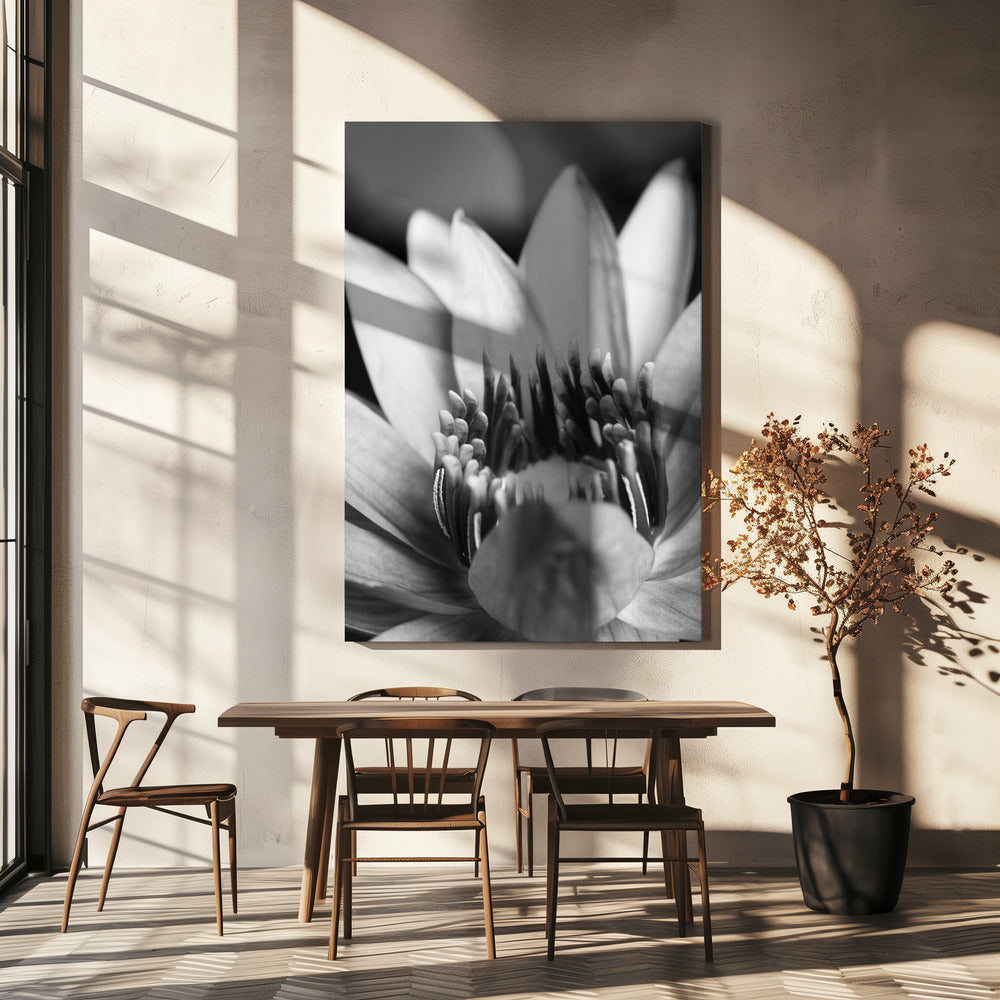 Fleur, gros plan | Tableaux sur Toile